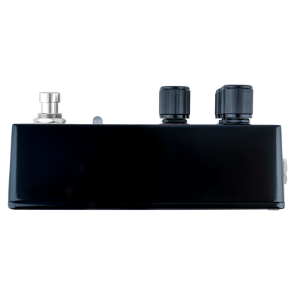STEAM®BASS - Flex BASS Comp