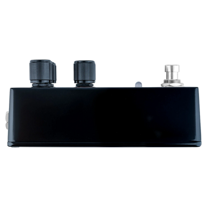 STEAM®BASS - Flex BASS Comp